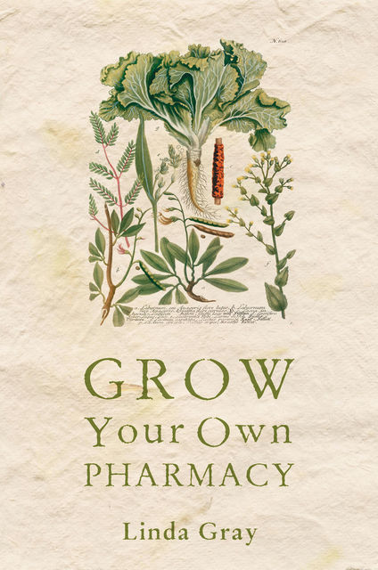 Grow Your Own Pharmacy, Linda Gray