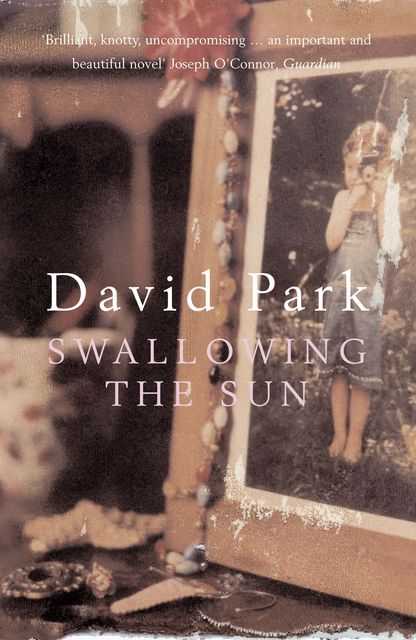 Swallowing the Sun, David Park