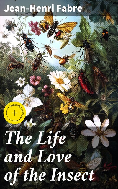 The Life and Love of the Insect, Jean-Henri Fabre