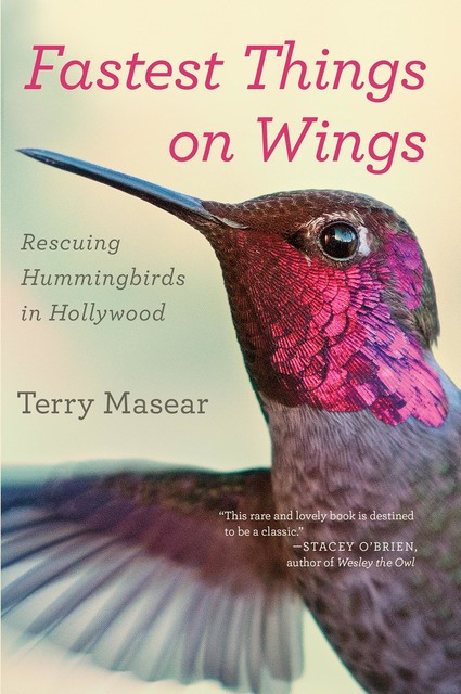 Fastest Things on Wings, Terry Masear