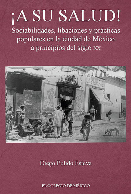 A su salud! Sociabilidades, libaciones y prácticas populares en la ciudad de México a principios del siglo XX, Diego Pulido Esteva