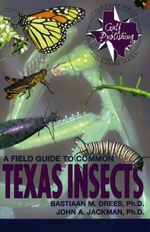 A Field Guide to Common Texas Insects, Bastiaan M. Drees, John A. Jackman