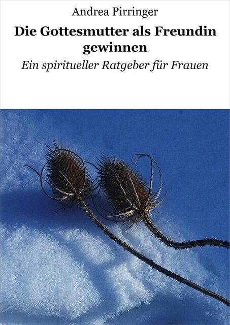 Die Gottesmutter als Freundin gewinnen, Andrea Pirringer