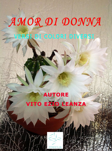 Amor di donna – Versi i colori diversi, Vito Ezio Leanza