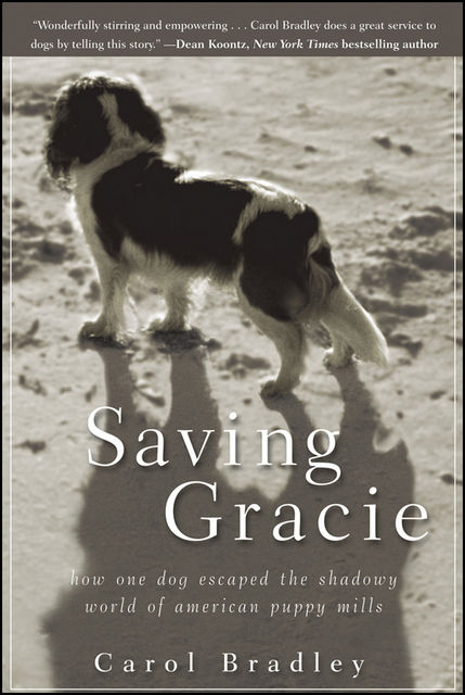 Saving Gracie, Carol Bradley