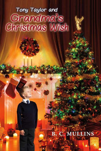 Tony Taylor and Grandma's Christmas Wish, B.C. Mullins