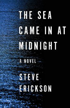 The Sea Came in at Midnight, Steve Erickson