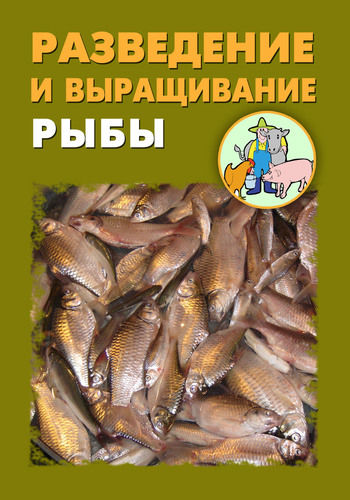 Разведение и выращивание рыбы, Илья Мельников