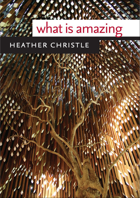 What Is Amazing, Heather Christle