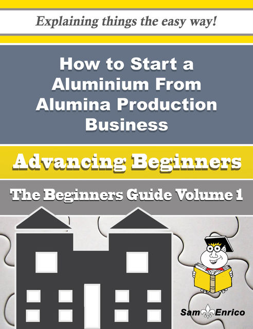 How to Start a Aluminium From Alumina Production Business (Beginners Guide), Wai Cosby