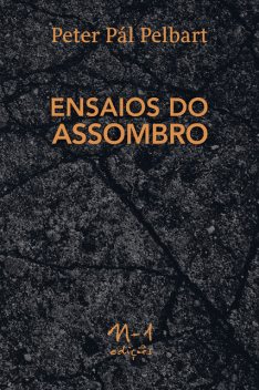 Ensaios do assombro, Peter Pàl Pelbart