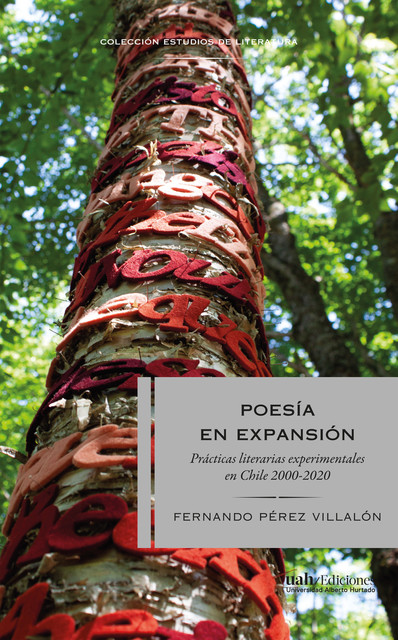 Poesía en expansión, Fernando Pérez Villalón