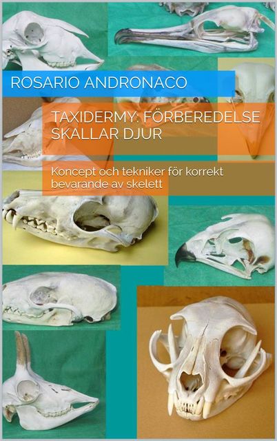 Taxidermy: Förberedelse skallar djur – Koncept och tekniker för korrekt bevarande av skelett, Rosario Andronaco