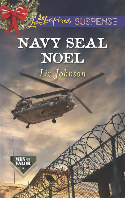 Navy SEAL Noel, Liz Johnson