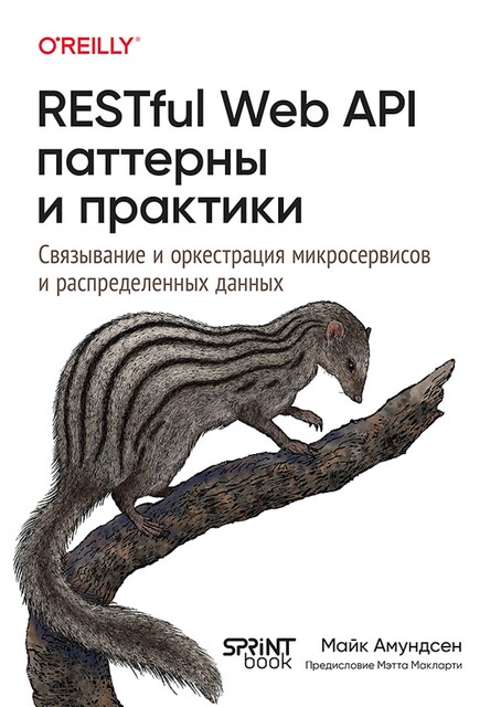 RESTful Web API паттерны и практики, Амундсен М.
