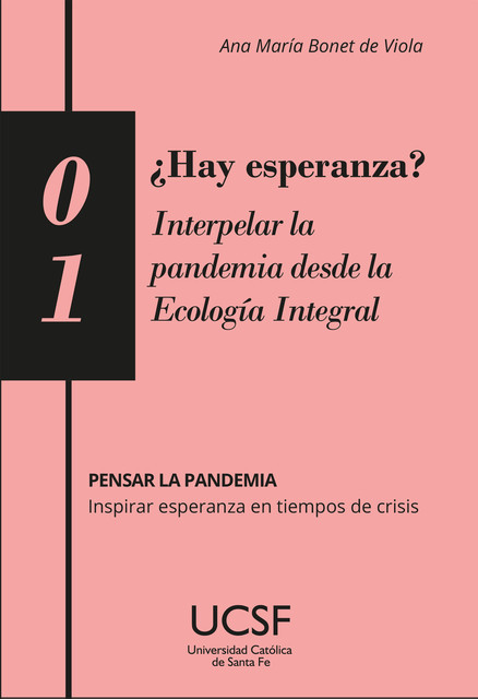 Hay esperanza? Interpelar la pandemia desde la Ecología Integral, Ana María Bonet de Viola