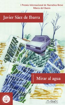 Mirar al agua, Javier Sáez de Ibarra