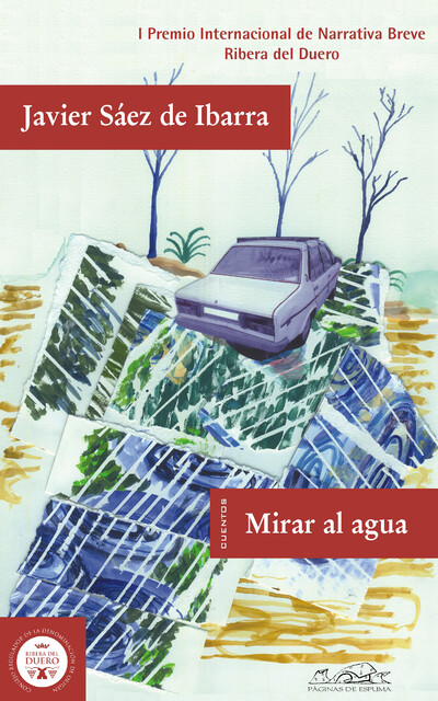Mirar al agua, Javier Sáez de Ibarra