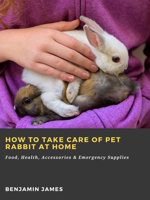 How to Take Care of Pet Rabbit at Home: Food, Health, Accessories & Emergency Supplies, Benjamin James