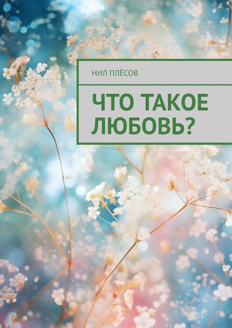 Что такое любовь, Нил Плёсов