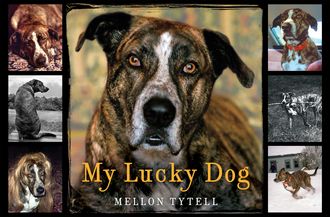 My Lucky Dog, Mellon Tytell