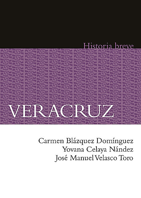 Veracruz, Alicia Hernández Chávez, Yovana Celaya Nández, Carmen Blázquez Domínguez, José Manuel Velasco Toro