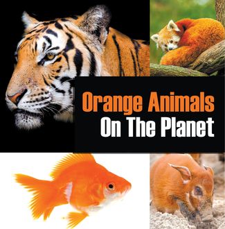 Orange Animals On The Planet, Baby Professor