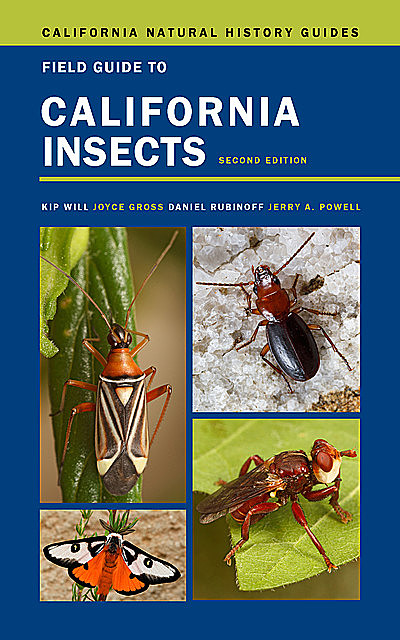 Field Guide to California Insects, Kip Will