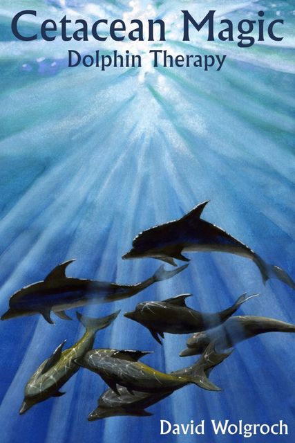 Cetacean Magic, David Psy.D. Wolgroch