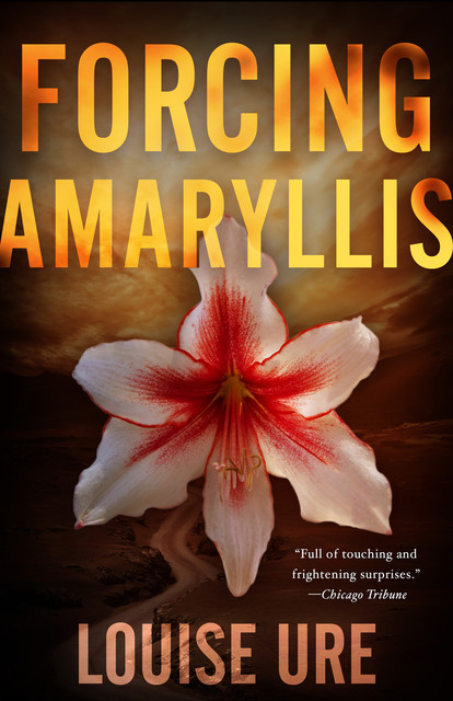 Forcing Amaryllis, Louise Ure