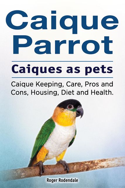Caique parrot. Caiques as pets. Caique Keeping, Care, Pros and Cons, Housing, Diet and Health, Roger Rodendale
