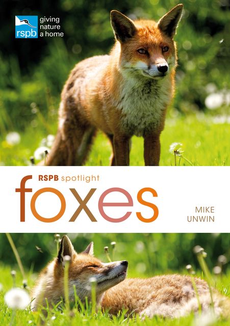 RSPB Spotlight: Foxes, Mike Unwin