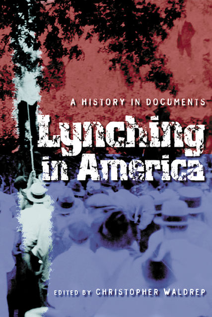 Lynching in America, Christopher Waldrep