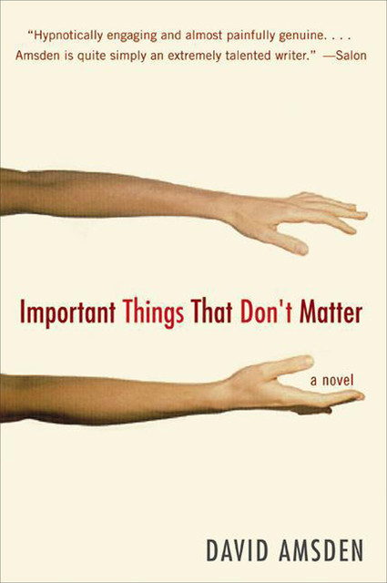 Important Things That Don't Matter, David Amsden