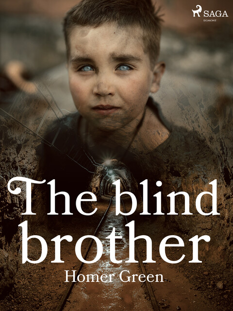 The Blind Brother: A Story of the Pennsylvania Coal Mines, Homer Greene
