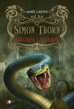 Simon Thorn și groapa cu șerpi, Aimee Carter