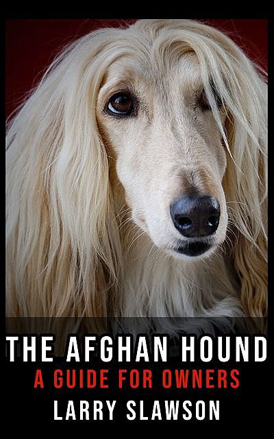 The Afghan Hound, Larry Slawson