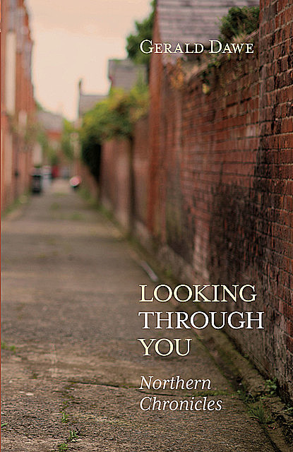 Looking Through You, Gerald Dawe