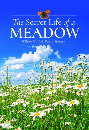 The Secret Life of a Meadow, David Morgan, Wilson Wall