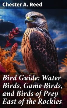 Bird Guide Water Birds, Game Birds, and Birds of Prey, Chester A.Reed