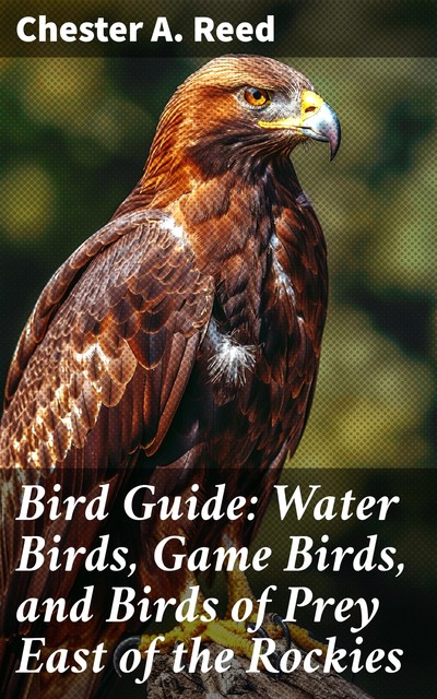 Bird Guide Water Birds, Game Birds, and Birds of Prey, Chester A.Reed