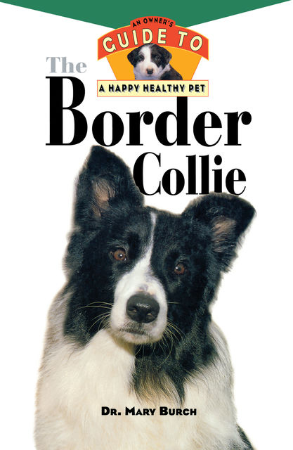 The Border Collie, Mary R.Burch