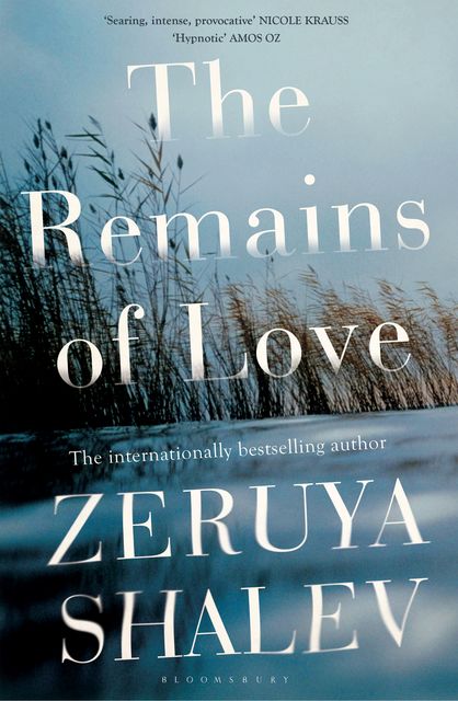 The Remains of Love, Zeruya Shalev