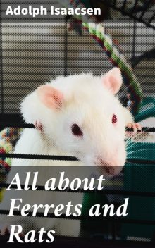 All about Ferrets and Rats, Adolph Isaacsen