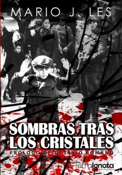 Sombras tras los cristales, Mario J. Les