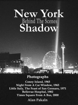 New York Shadow, Alan Pakaln