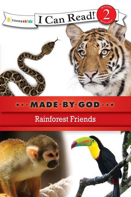 Rainforest Friends, Zondervan