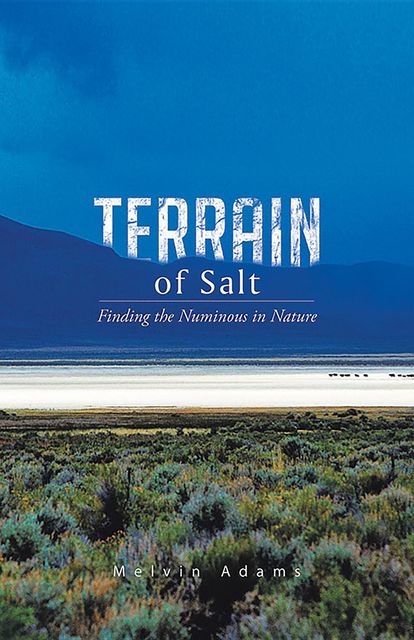 Terrain of Salt, Melvin Adams