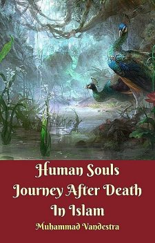 Human Souls Journey After Death In Islam, Muhammad Vandestra