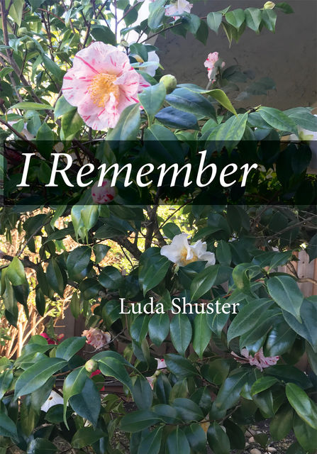 I Remember, Luda Shuster